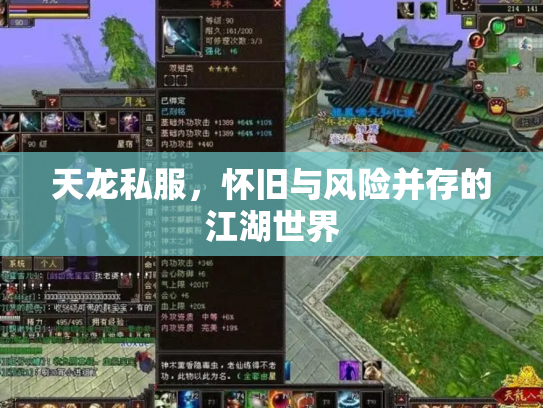 天龙私服，怀旧与风险并存的江湖世界
