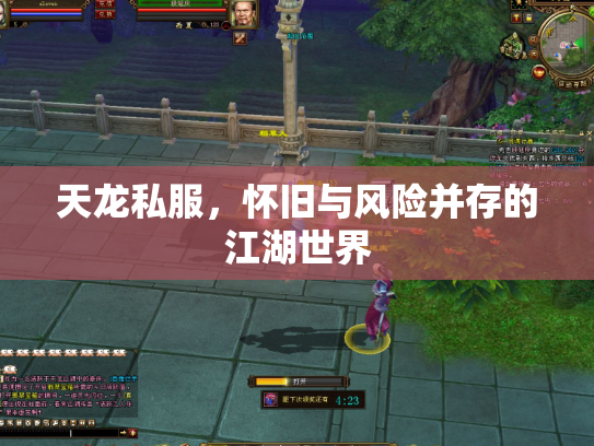 天龙私服，怀旧与风险并存的江湖世界