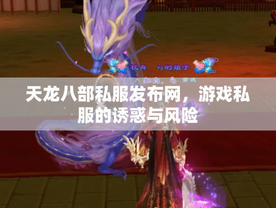 天龙八部私服发布网，游戏私服的诱惑与风险