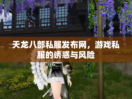 天龙八部私服发布网，游戏私服的诱惑与风险