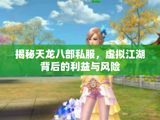 揭秘天龙八部私服，虚拟江湖背后的利益与风险