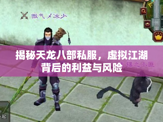 揭秘天龙八部私服，虚拟江湖背后的利益与风险