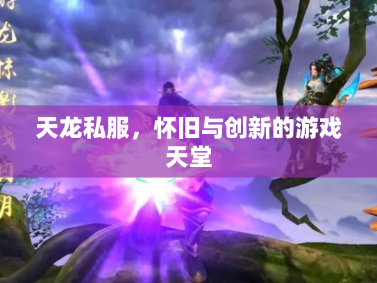 天龙私服，怀旧与创新的游戏天堂