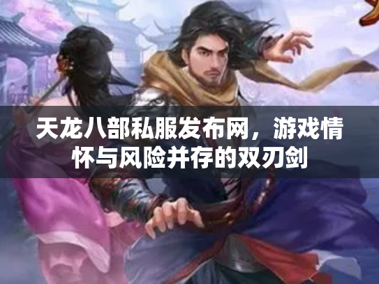 天龙八部私服发布网，游戏情怀与风险并存的双刃剑