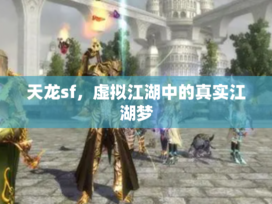 天龙sf，虚拟江湖中的真实江湖梦