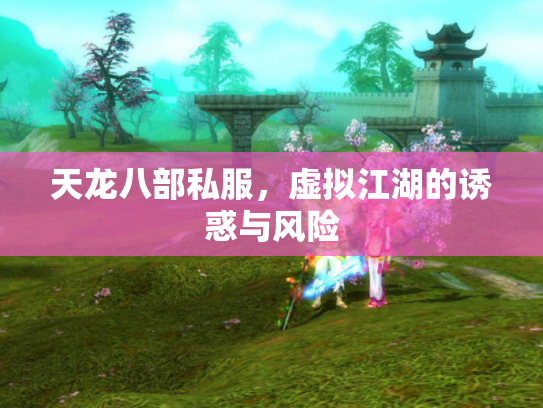 天龙八部私服，虚拟江湖的诱惑与风险
