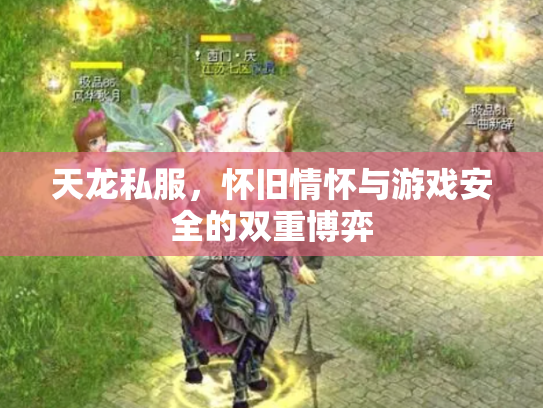 天龙私服，怀旧情怀与游戏安全的双重博弈