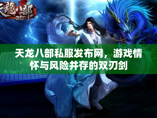 天龙八部私服发布网，游戏情怀与风险并存的双刃剑