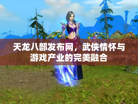 天龙八部发布网，武侠情怀与游戏产业的完美融合