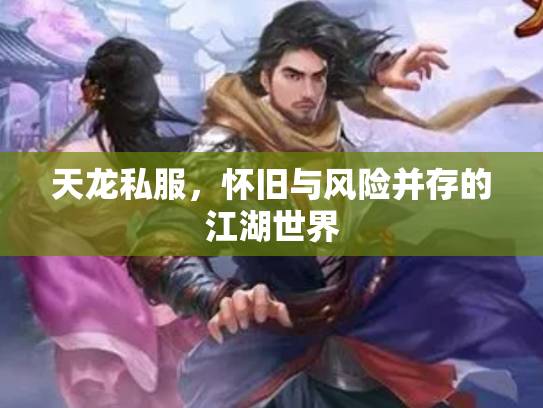 天龙私服，怀旧与风险并存的江湖世界