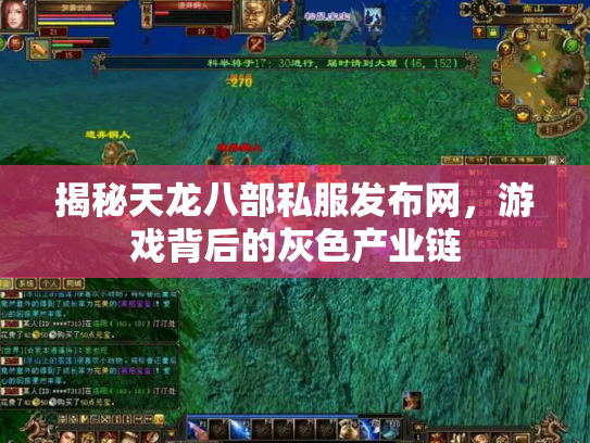 揭秘天龙八部私服发布网，游戏背后的灰色产业链