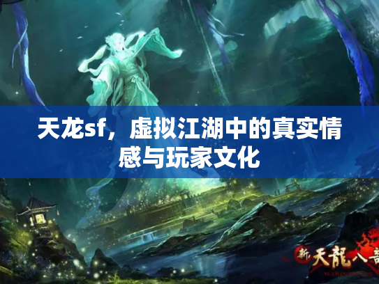 天龙sf，虚拟江湖中的真实情感与玩家文化