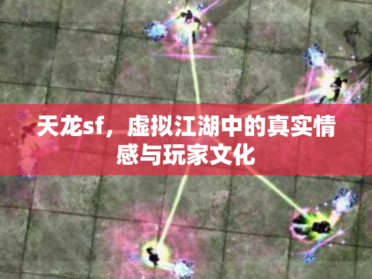 天龙sf，虚拟江湖中的真实情感与玩家文化