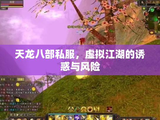天龙八部私服，虚拟江湖的诱惑与风险