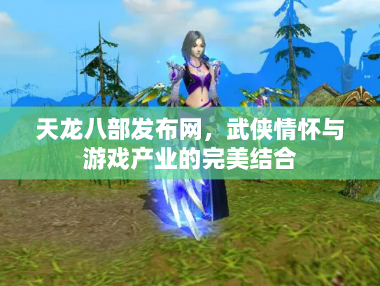 天龙八部发布网，武侠情怀与游戏产业的完美结合