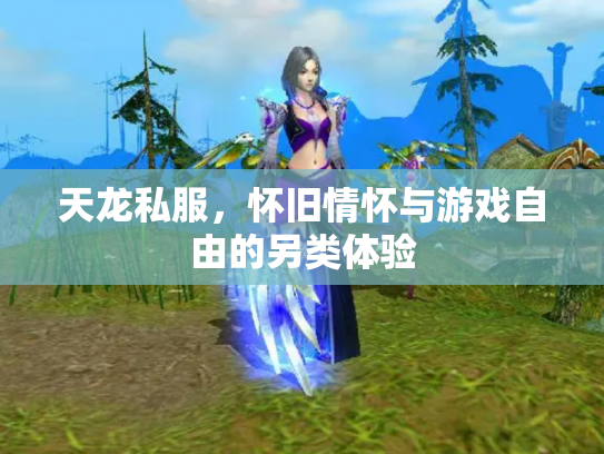 天龙私服，怀旧情怀与游戏自由的另类体验