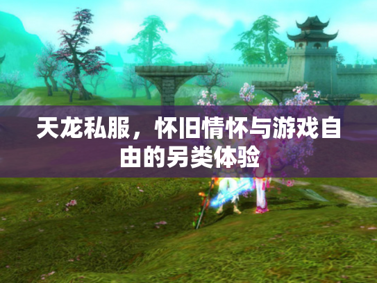 天龙私服，怀旧情怀与游戏自由的另类体验