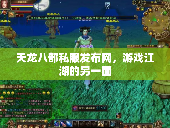 天龙八部私服发布网，游戏江湖的另一面