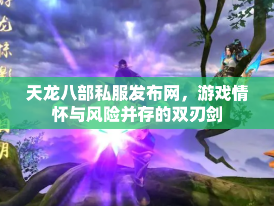 天龙八部私服发布网，游戏情怀与风险并存的双刃剑