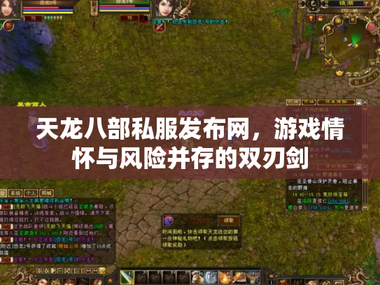 天龙八部私服发布网，游戏情怀与风险并存的双刃剑