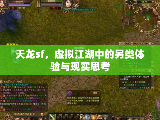 天龙sf，虚拟江湖中的另类体验与现实思考