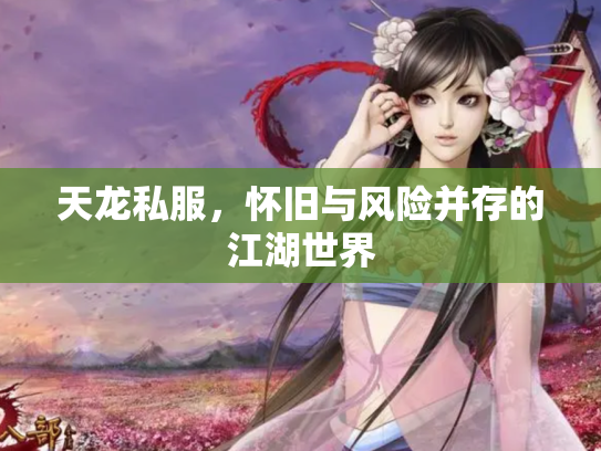 天龙私服，怀旧与风险并存的江湖世界