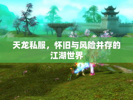 天龙私服，怀旧与风险并存的江湖世界