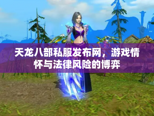 天龙八部私服发布网，游戏情怀与法律风险的博弈