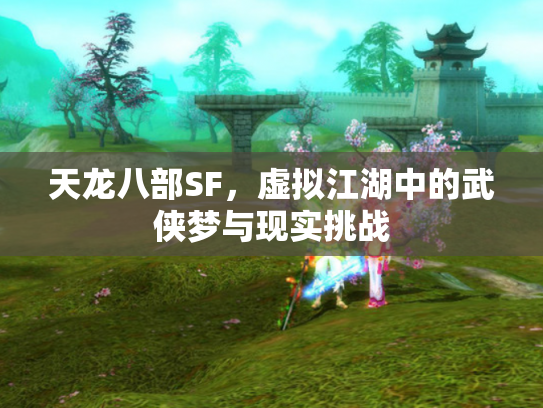 天龙八部SF，虚拟江湖中的武侠梦与现实挑战