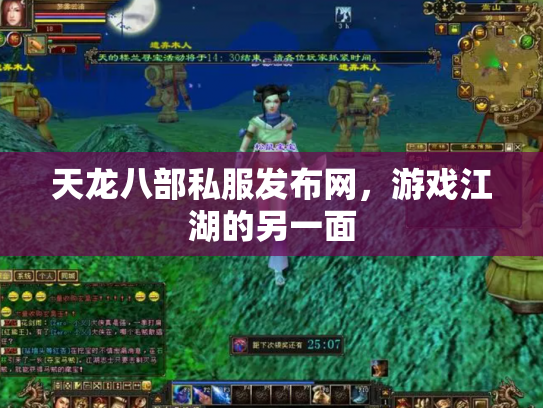 天龙八部私服发布网，游戏江湖的另一面