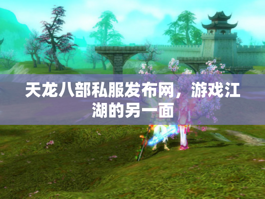 天龙八部私服发布网，游戏江湖的另一面