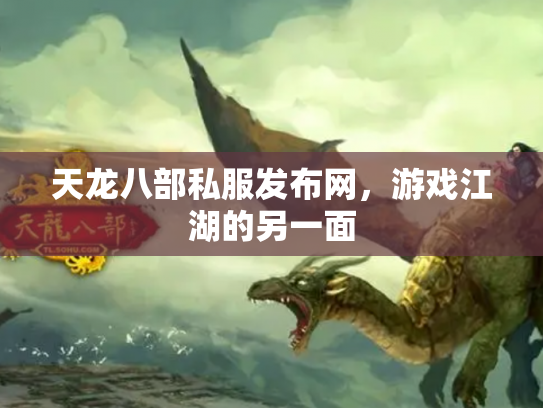 天龙八部私服发布网，游戏江湖的另一面