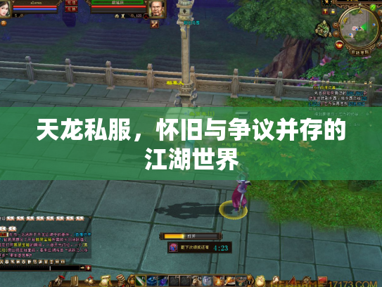 天龙私服，怀旧与争议并存的江湖世界