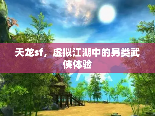 天龙sf，虚拟江湖中的另类武侠体验