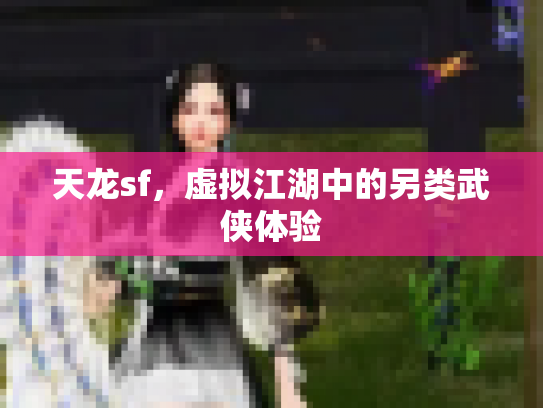 天龙sf，虚拟江湖中的另类武侠体验