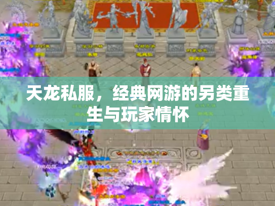 天龙私服，经典网游的另类重生与玩家情怀