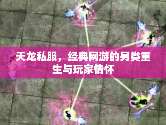 天龙私服，经典网游的另类重生与玩家情怀