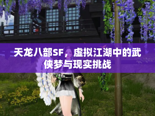 天龙八部SF，虚拟江湖中的武侠梦与现实挑战