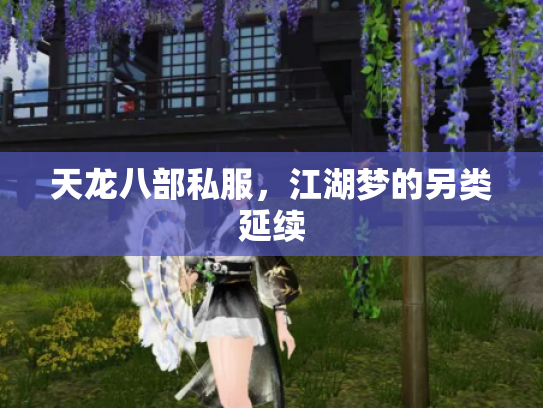 天龙八部私服，江湖梦的另类延续