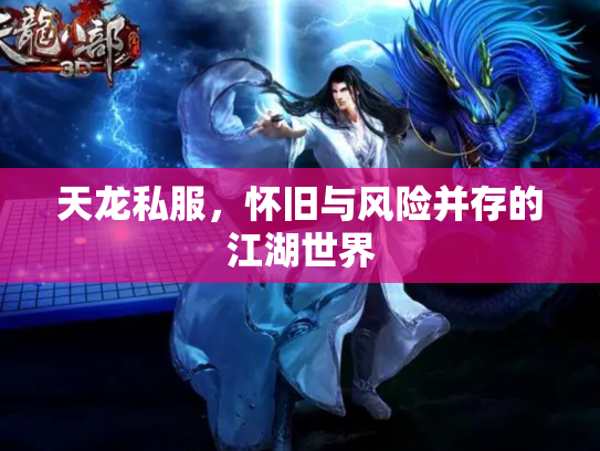 天龙私服，怀旧与风险并存的江湖世界