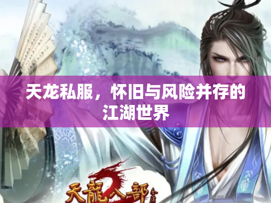 天龙私服，怀旧与风险并存的江湖世界