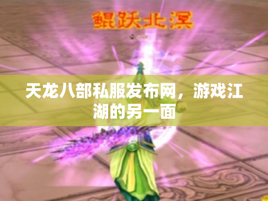 天龙八部私服发布网，游戏江湖的另一面