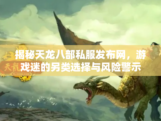 揭秘天龙八部私服发布网，游戏迷的另类选择与风险警示