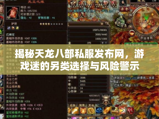 揭秘天龙八部私服发布网，游戏迷的另类选择与风险警示