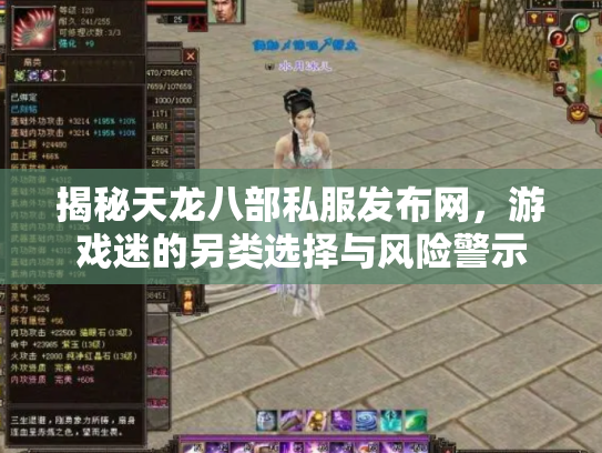 揭秘天龙八部私服发布网，游戏迷的另类选择与风险警示