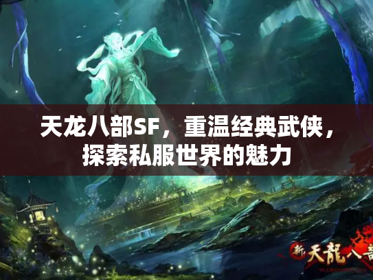 天龙八部SF，重温经典武侠，探索私服世界的魅力