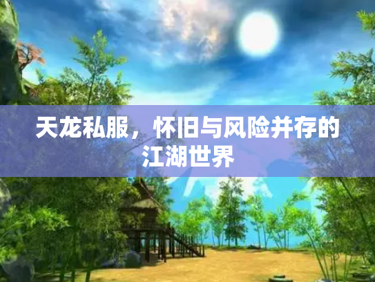 天龙私服，怀旧与风险并存的江湖世界