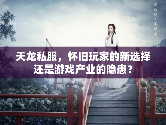 天龙私服，怀旧玩家的新选择还是游戏产业的隐患？