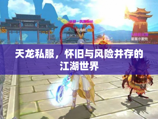 天龙私服，怀旧与风险并存的江湖世界