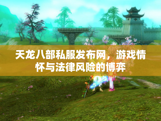 天龙八部私服发布网，游戏情怀与法律风险的博弈